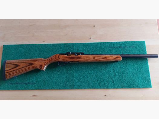 Ruger 10 22 Target