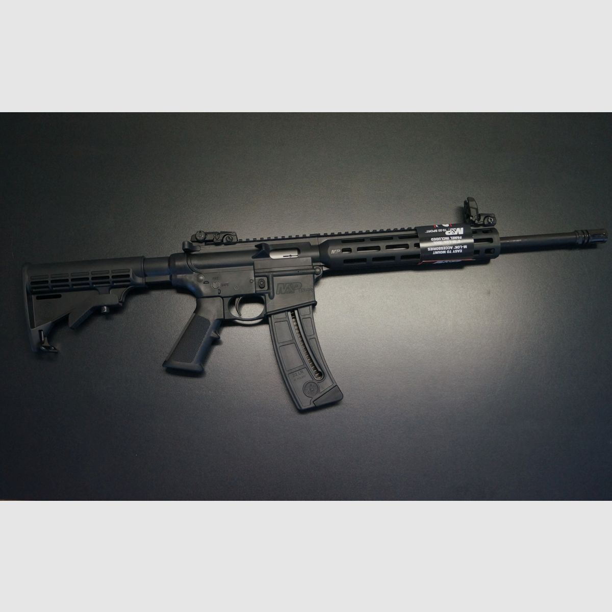 Smith & Wesson M+P 15-22 Sport, image 1 sur 6