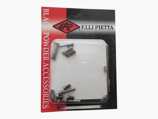 SET VIS POUR 1873 SA INOX