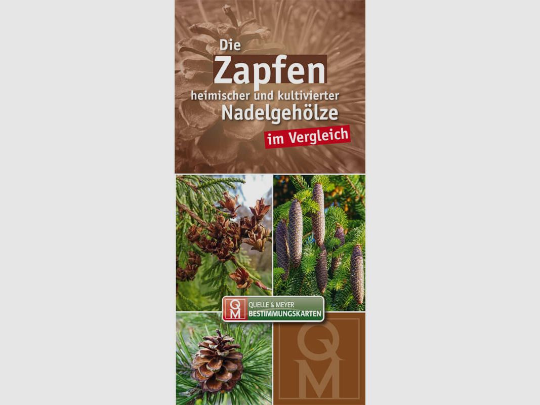 Bestimmungskarte "Die Zapfen heimischer und kultivierter Nadelgehölze im Vergleich"
