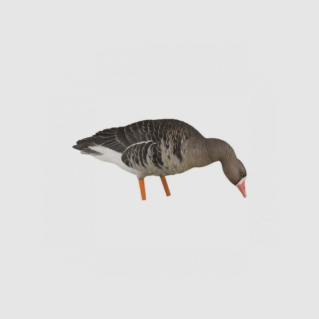 KIT Formen Avian-X Gans Lombardella Full Body 9014, Bild 5 von 5