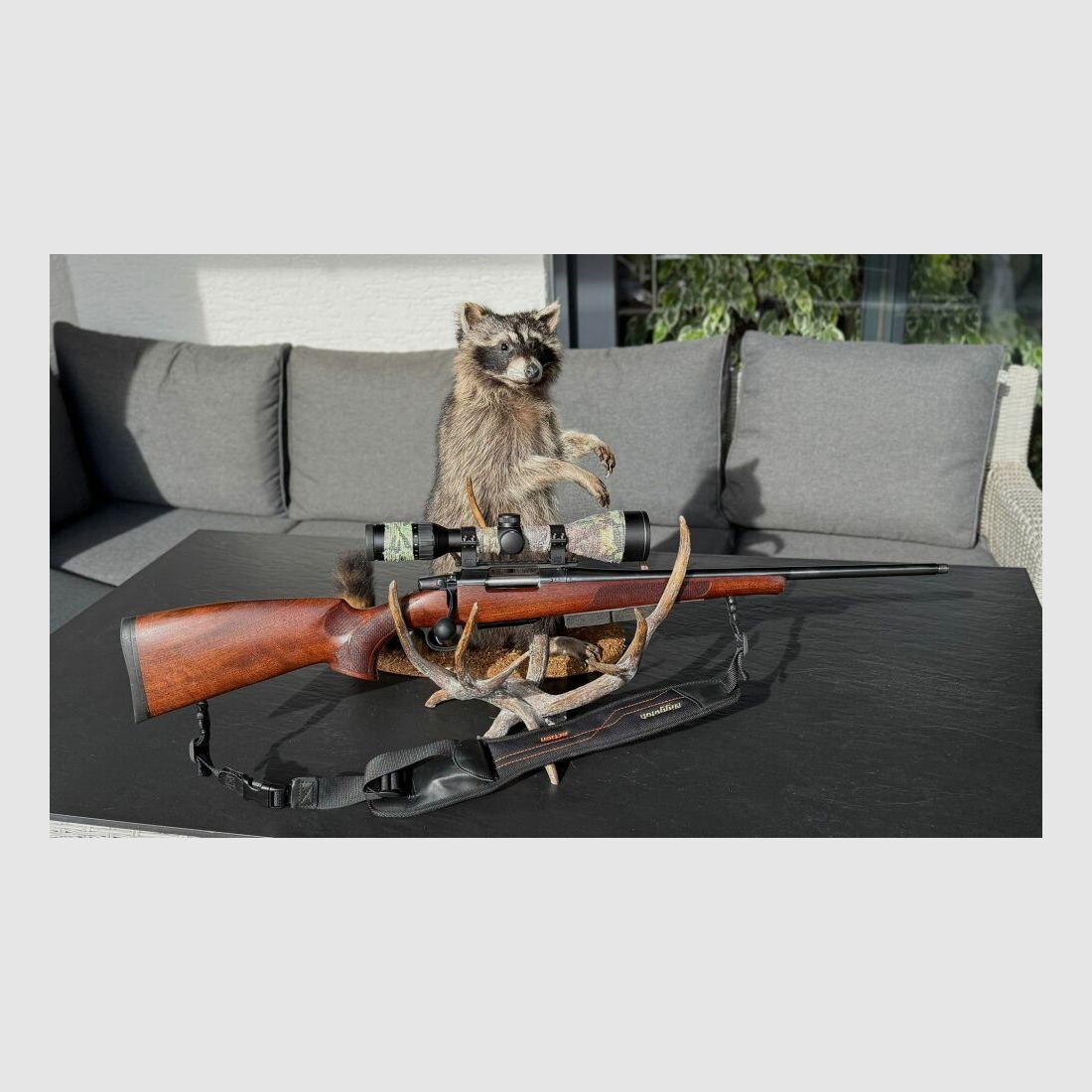 CZ Ranger Walnuss Schaft 557