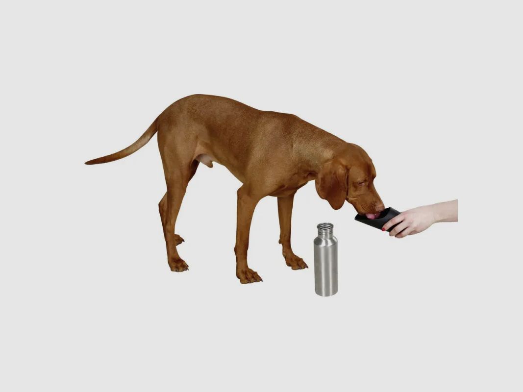 Bottiglia da viaggio per cani in acciaio inossidabile, immagine 3 di 6