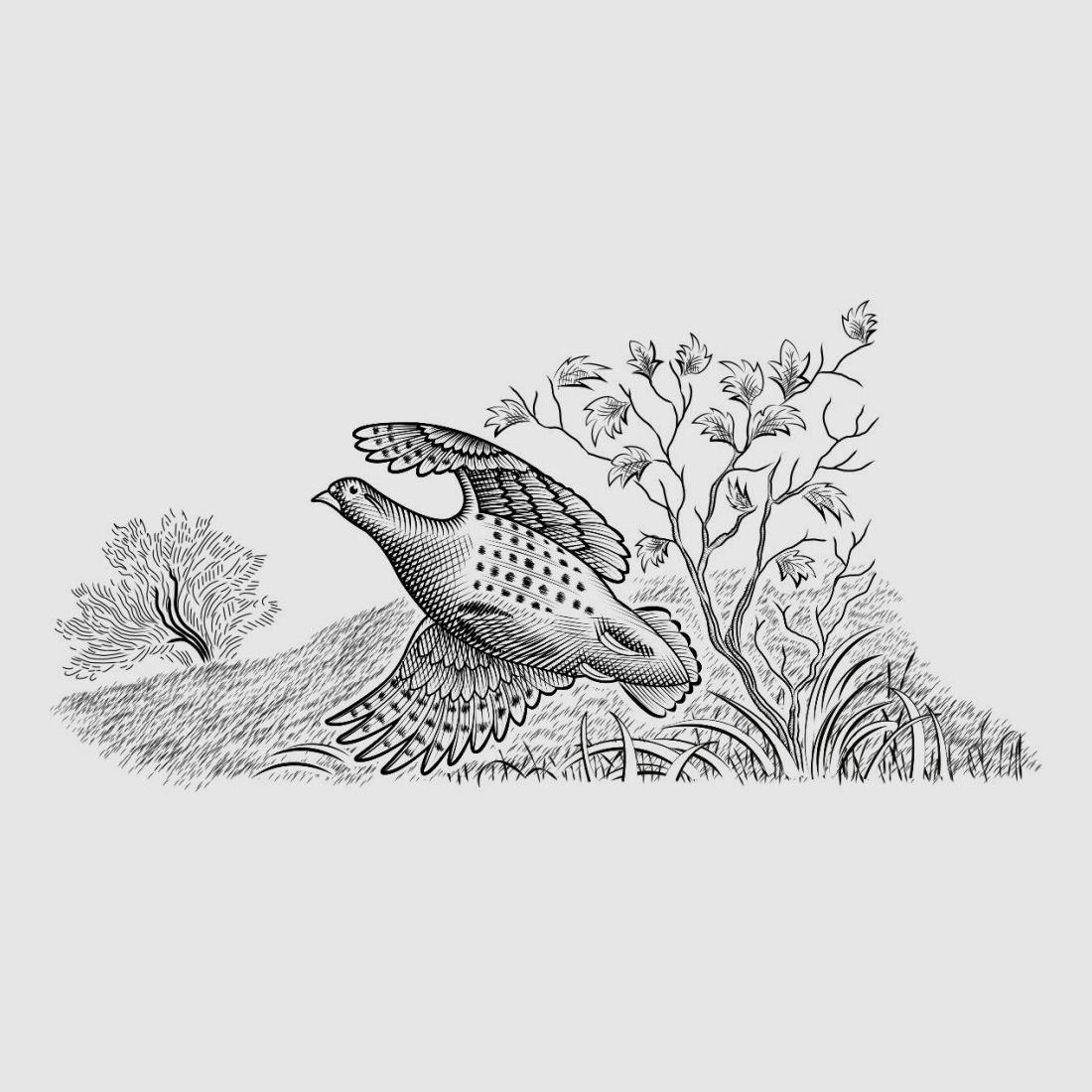 BERETTA	 687 silver Pigeon 3 Sporting Links