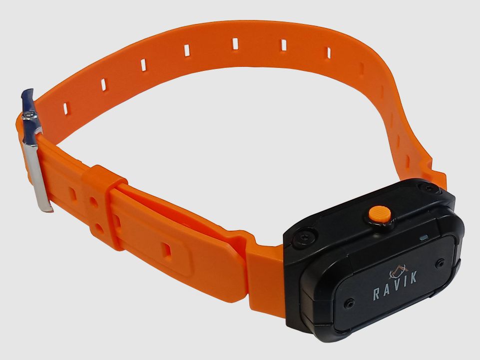 RAVIK HUNDHALSBAND RV900, Bild 2 von 3