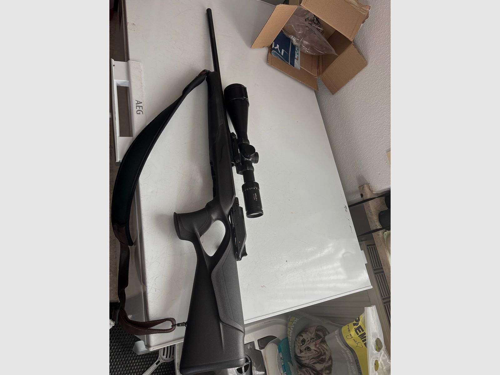 Blaser R8 Professionell Success