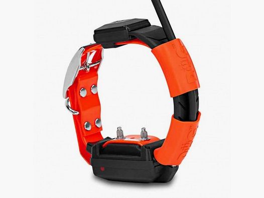 Zusätzliches Halsband Gps Dogtrace X25-t inklusive Ladegerät