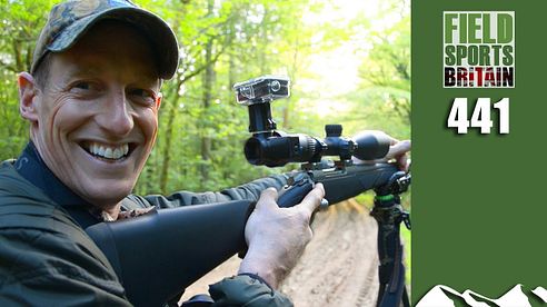 Fieldsports Britain - Spring Roebuck