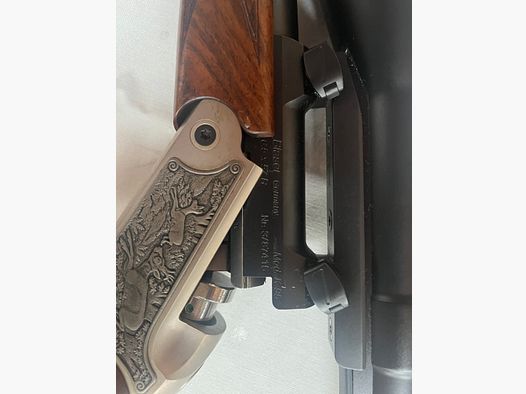 Blaser K95