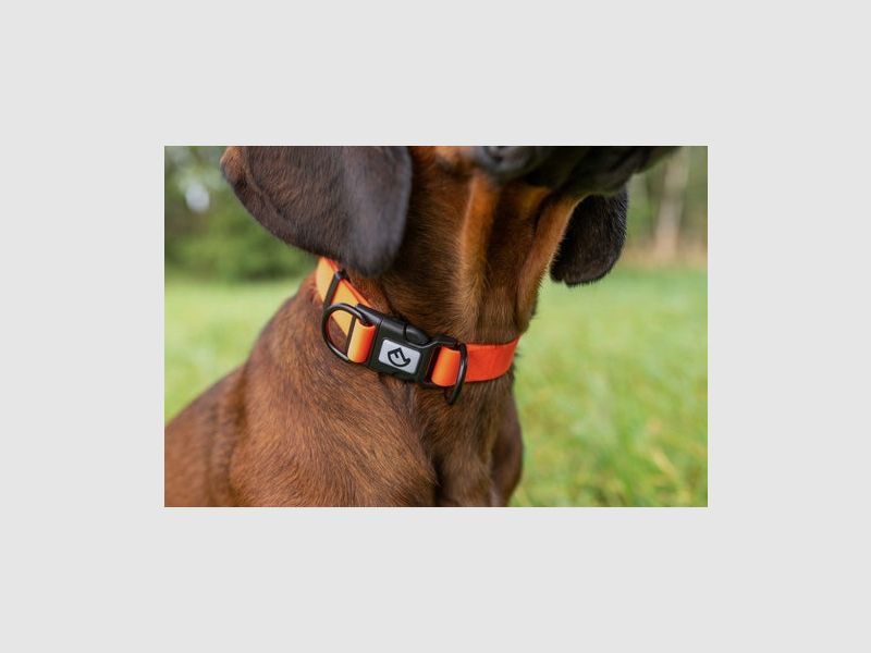 Farm-Land Halsband verstellbar