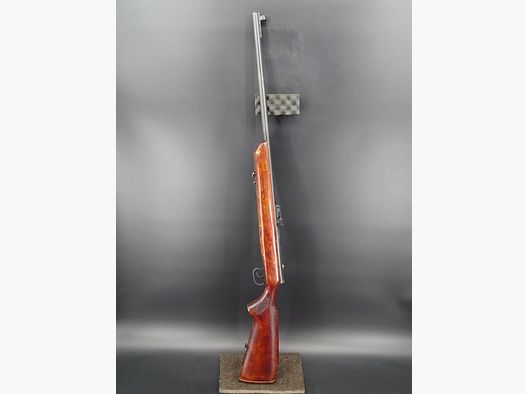 Dust M8 caliber .22lr M8