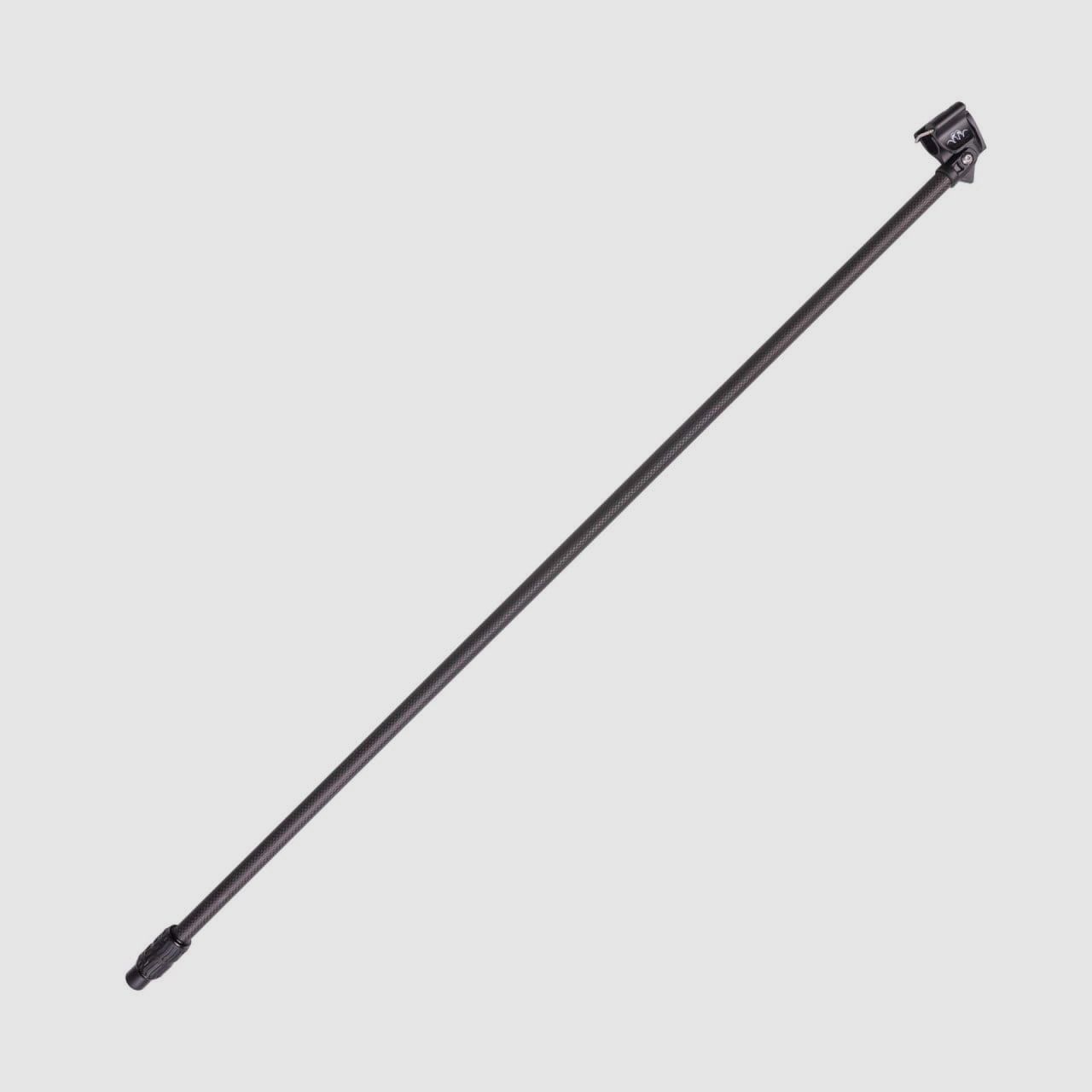 Blaser Carbon Stock Erweiterung
