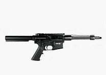 GERMAN TACTICAL SYSTEMS Naked AR15