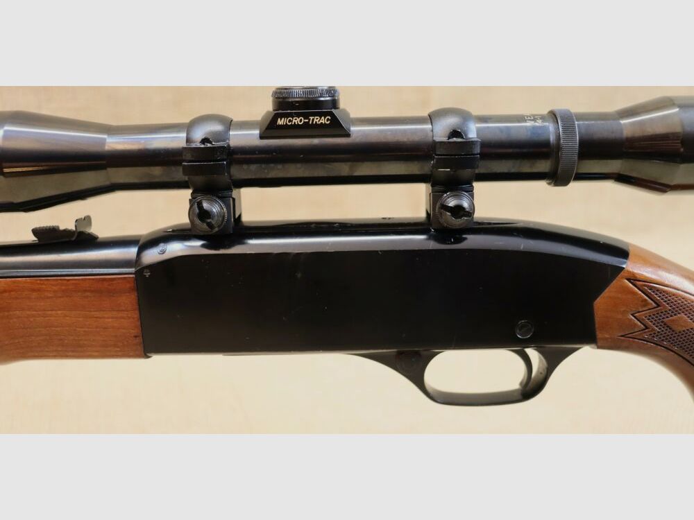 Fucile semiautomatico Winchester 290 .22lr