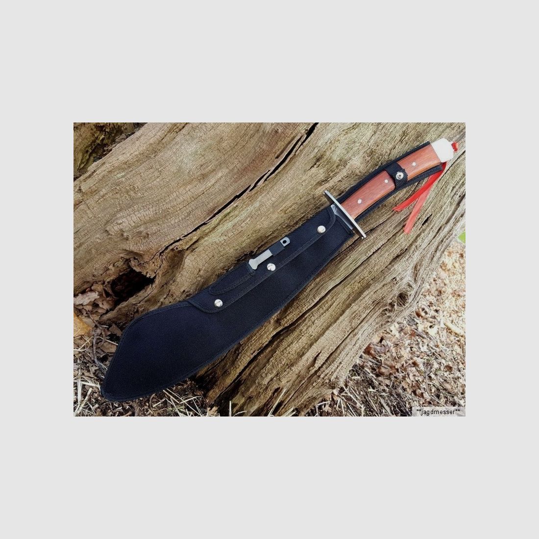 NOUVEAU Couteau de brousse chinois en forme de dragon, tranchant et la lame est double face avec un motif de dragon gravé