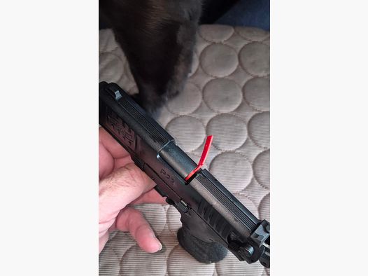 Blank firing gun Walther P22