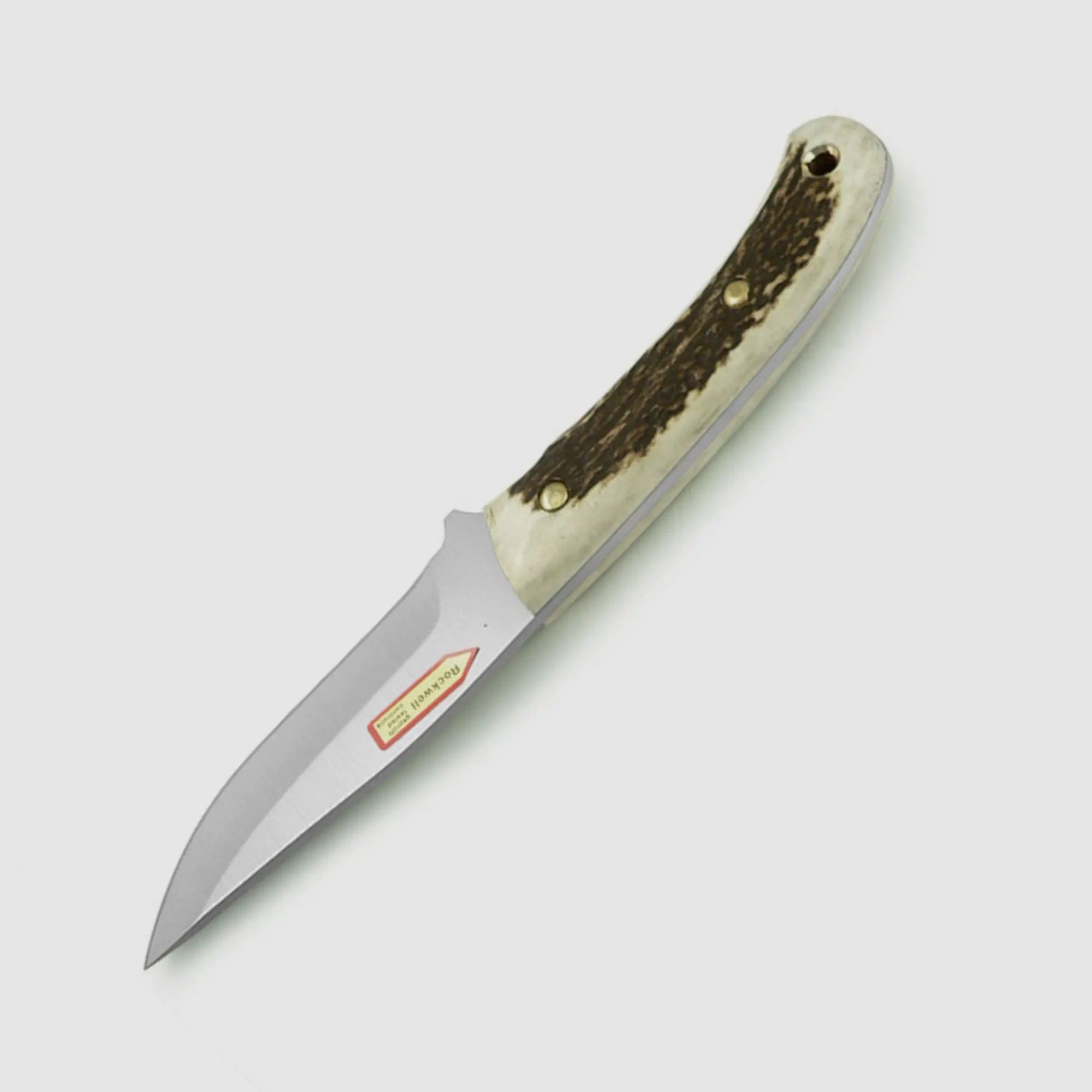 PUMA IP catamount, cervo