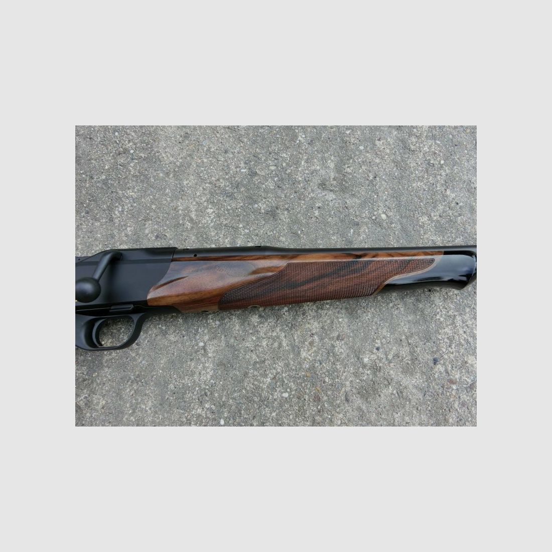 Blaser	 R8 Success