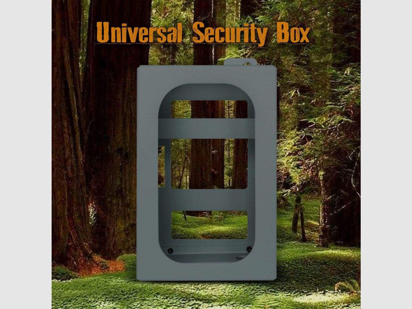 Boly Cam Boîte de Sécurité Universelle