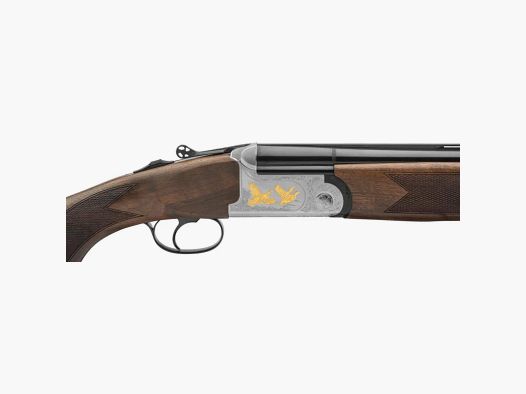 FAIR DC06M CLASSIC ERGAL EXT MD CAL 12-76 CAN 71