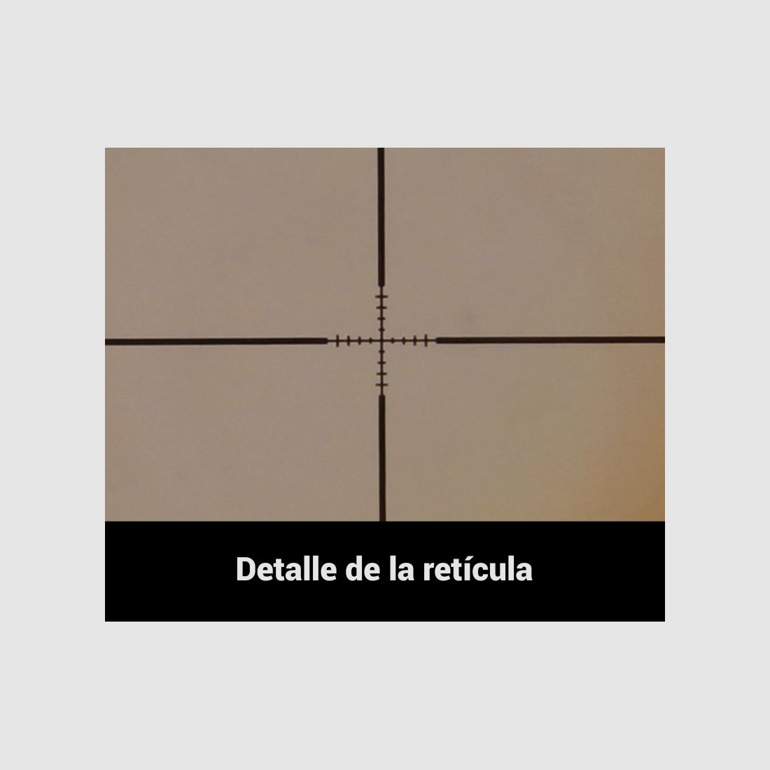 Lunette Arcea 4x15 - 19mm, image 16 sur 18
