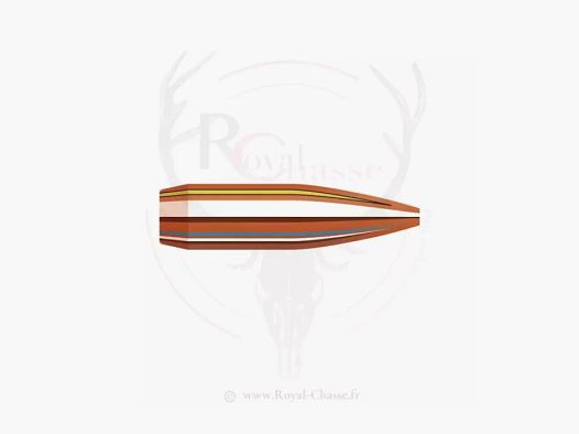 100 ogives Cal.6mm D.243 87Grs BTHP HORNADY