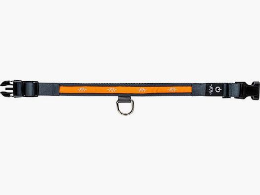 Halsband Hund Blaser LED