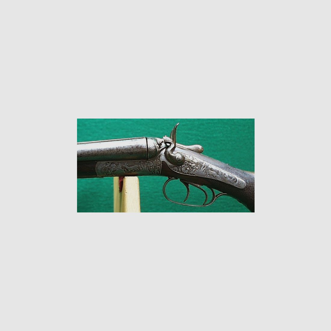 Double shotgun / hammer double shotgun