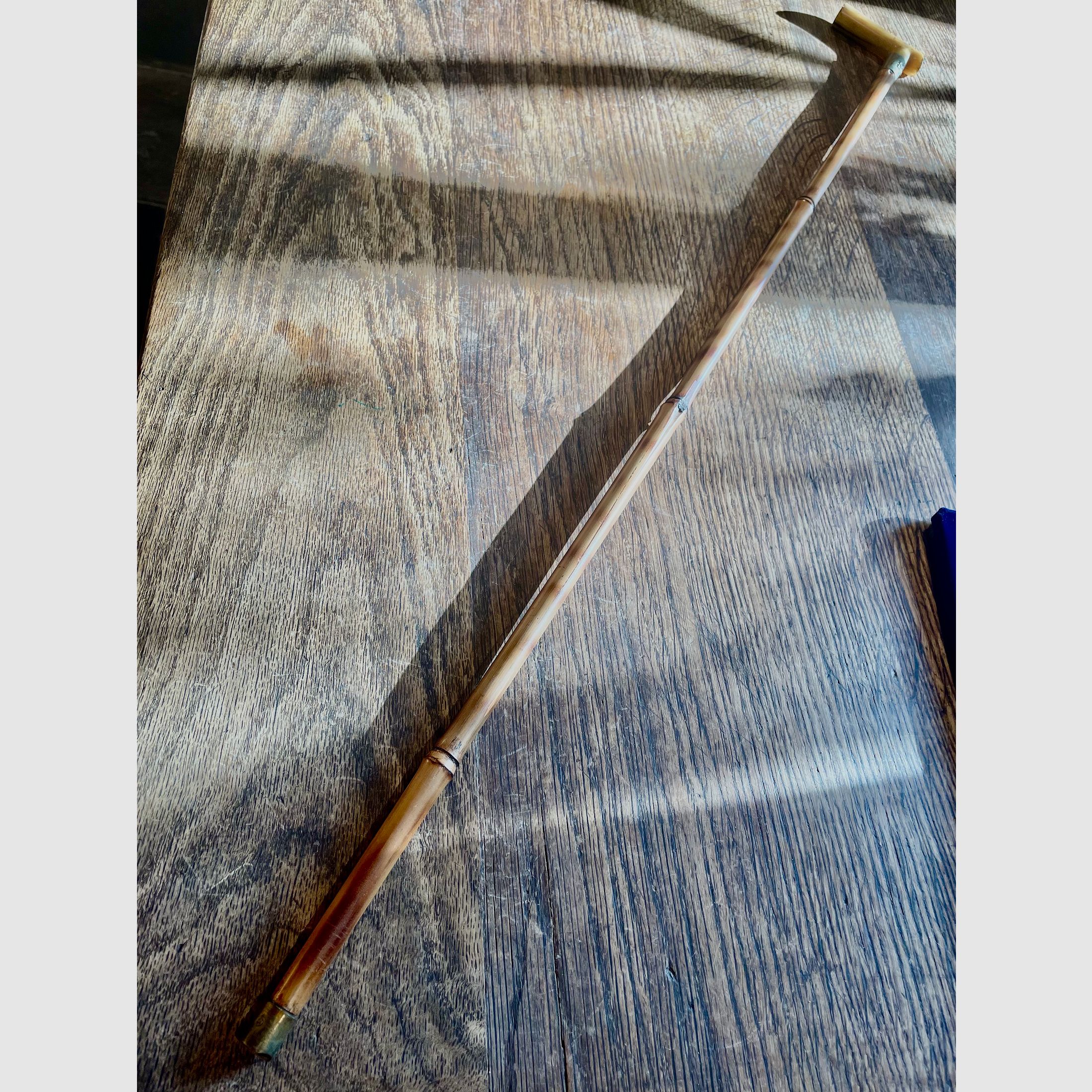 DEAD OR GLORY - Walking stick with contents - antique around 1880