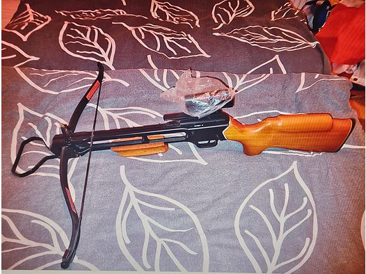 Crossmann crossbow with LED sighting device