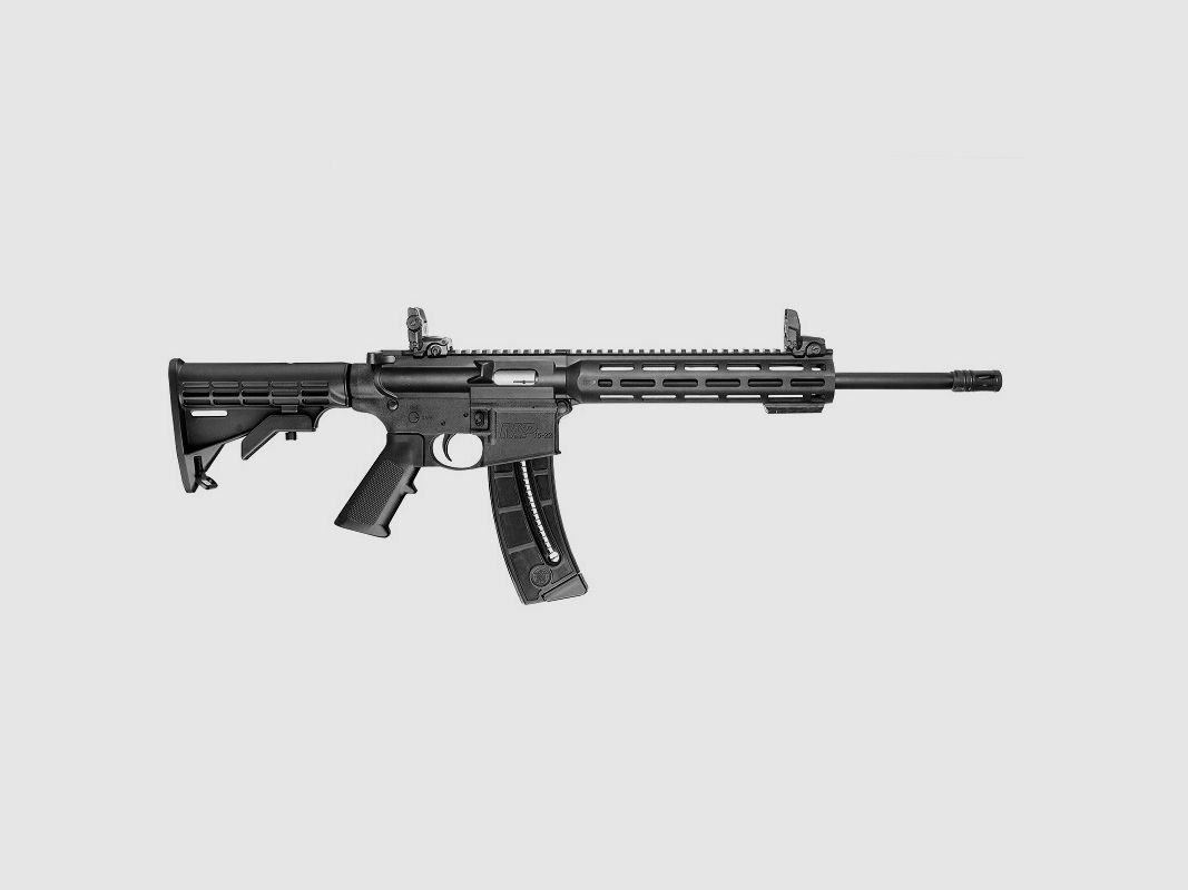 SMITH & WESSON M&P15-22 SPORT REPEITERBÜCHSE KALIBER 22 LR - 16,5 ZOLL, Bild 1 von 4