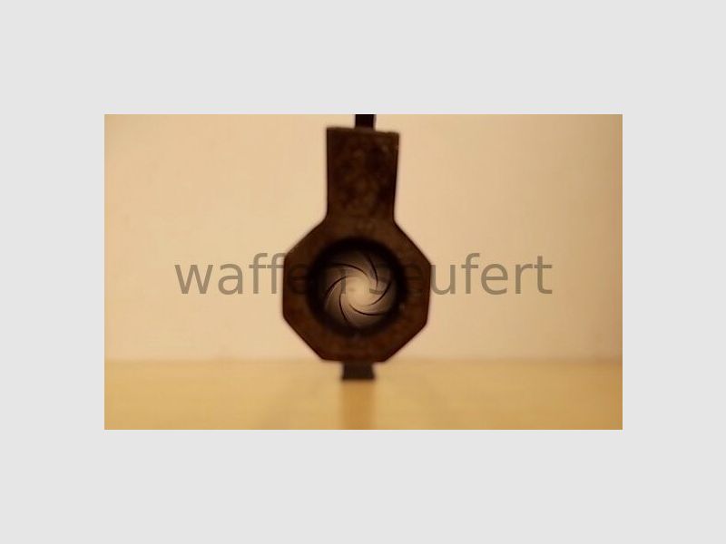 Frankonia 98er DWM Exklusivmodell 8-kant Lauf + Zeiss 2,5-10x52T*