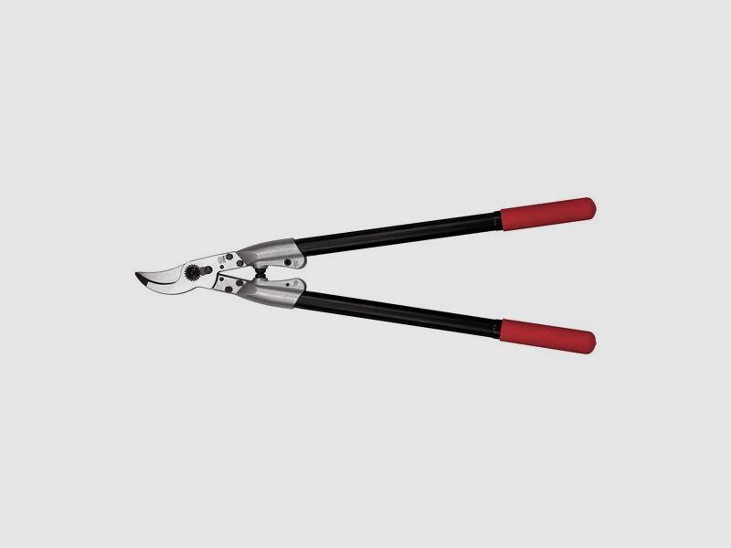 Felco 12, image 3 sur 6