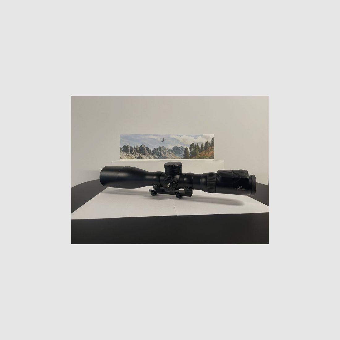 Swarovski dS 5–25x52 P