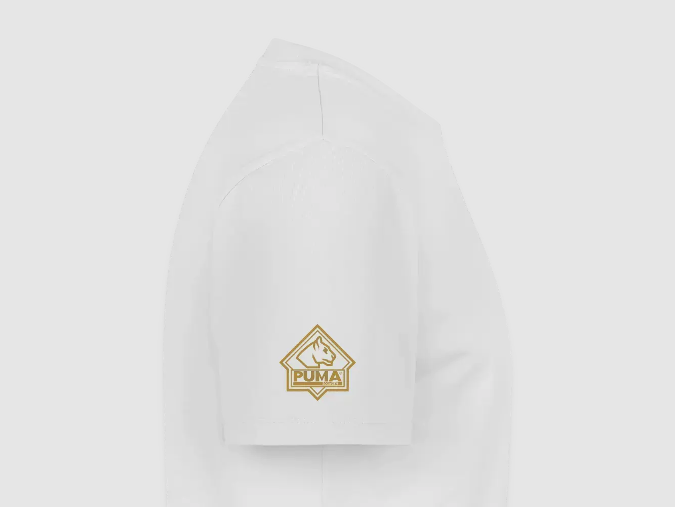PUMA Heren Premium T-Shirt "PUMA Heritage Logo Back", afbeelding 41 van 46