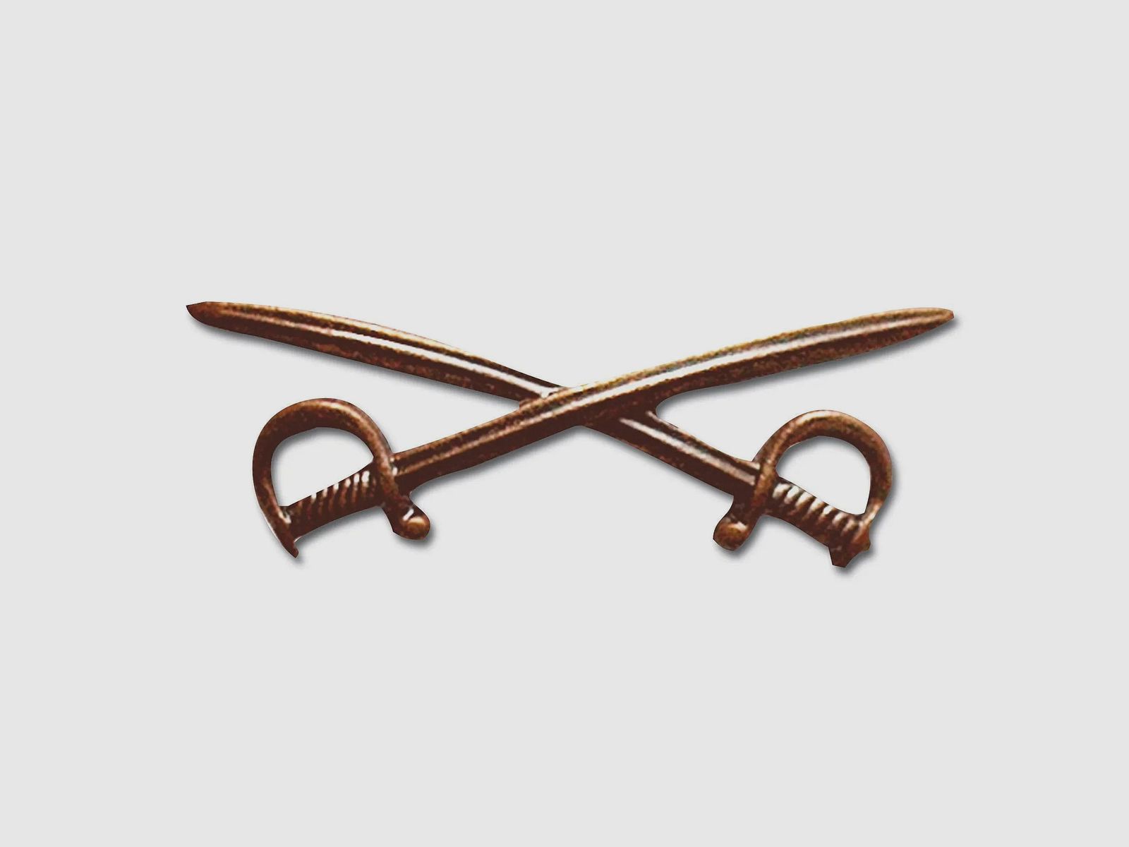 Insigne Fritzsch Bw Sabres croisés