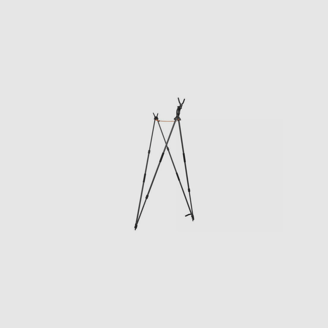 Blaser Carbon Zielstock 2.0