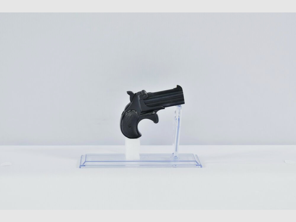 Derringer RG17