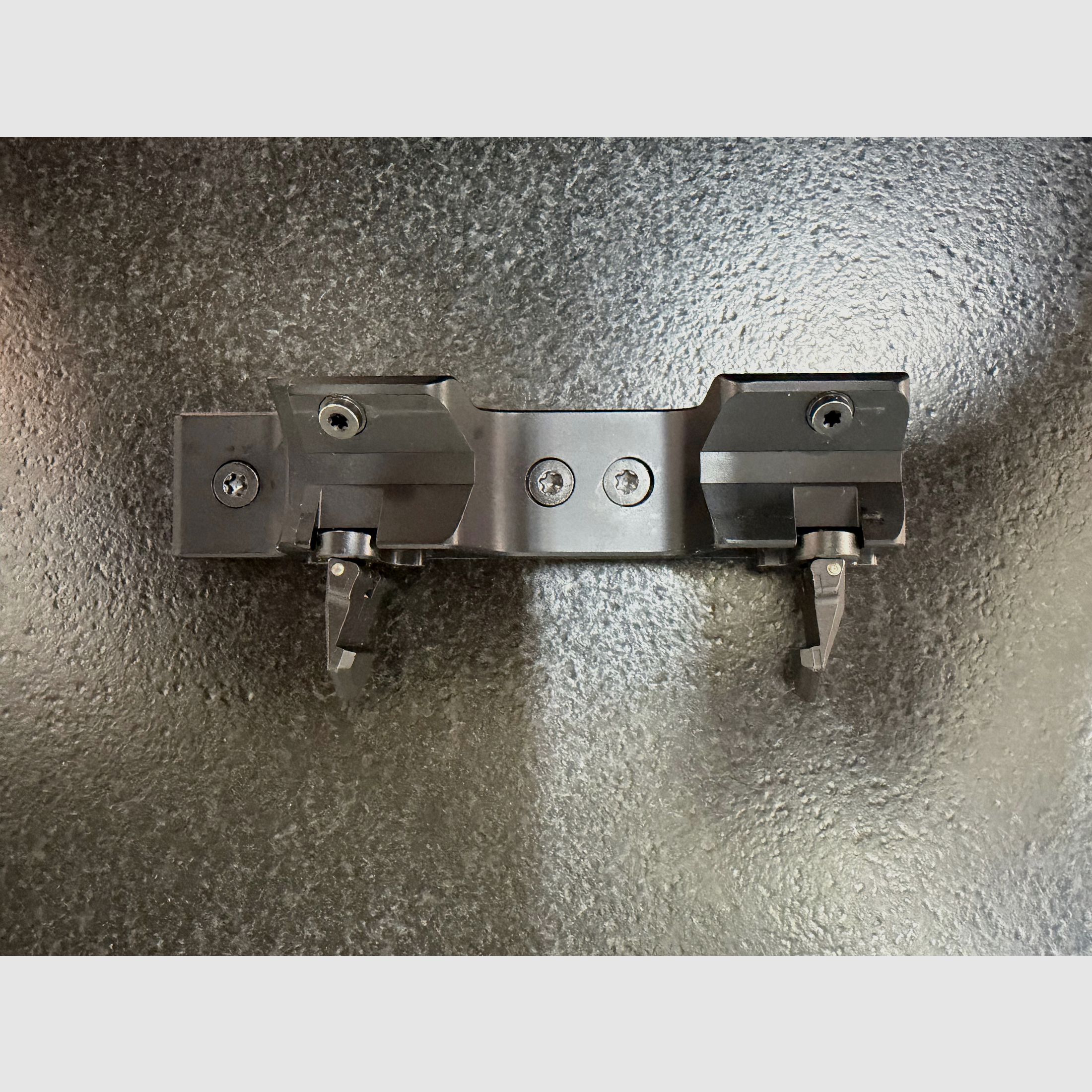 Montaggio per Blaser R8