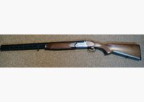 Rizzini Albion
