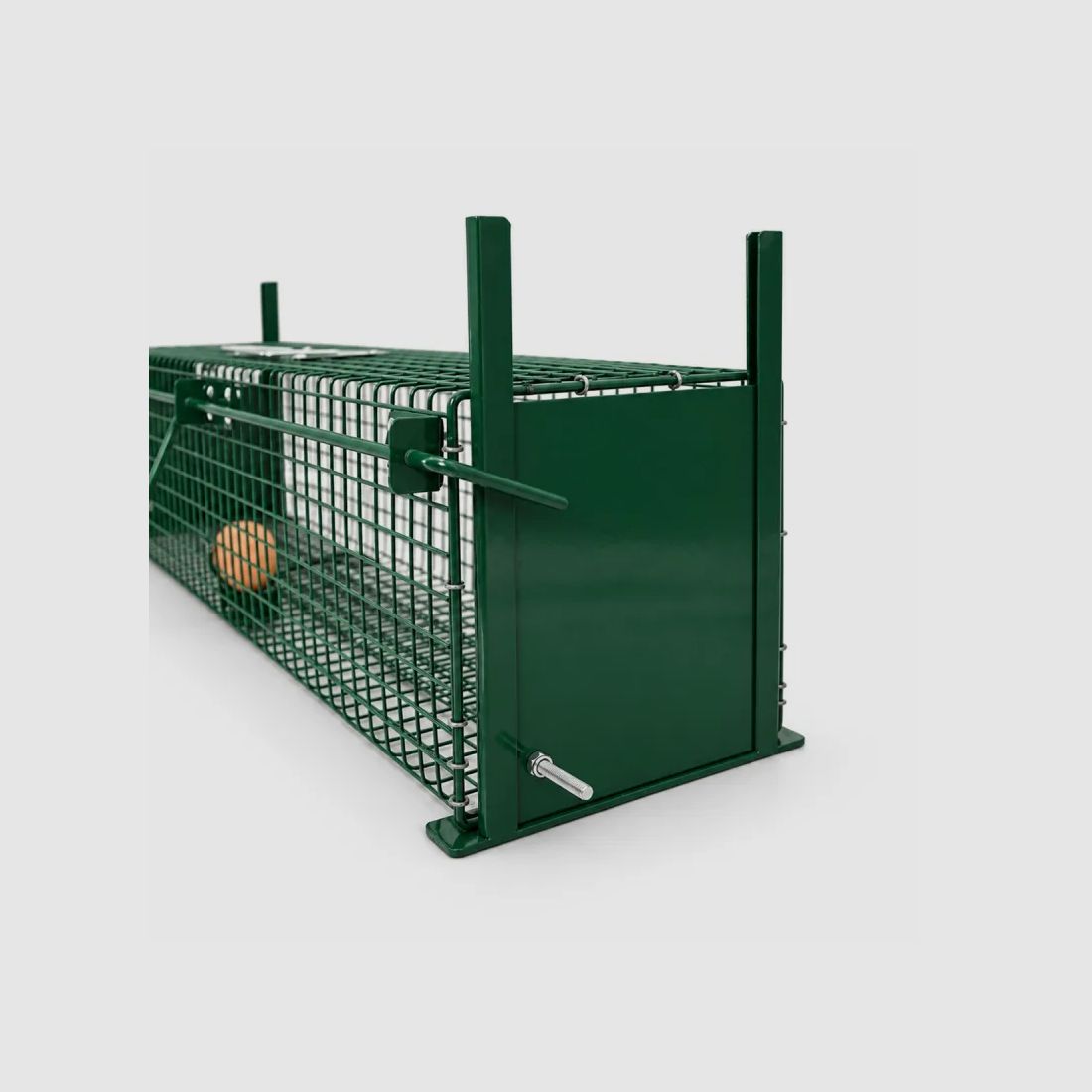 Eierenval tegen wezels en ratten 75 x 18 x 18 cm, afbeelding 7 van 8