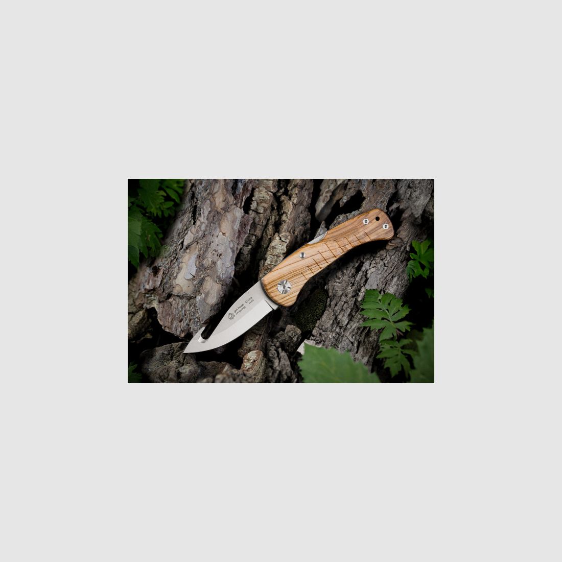 Noż myśliwski PUMA IP z dobrym hakiem, drewno oliwne