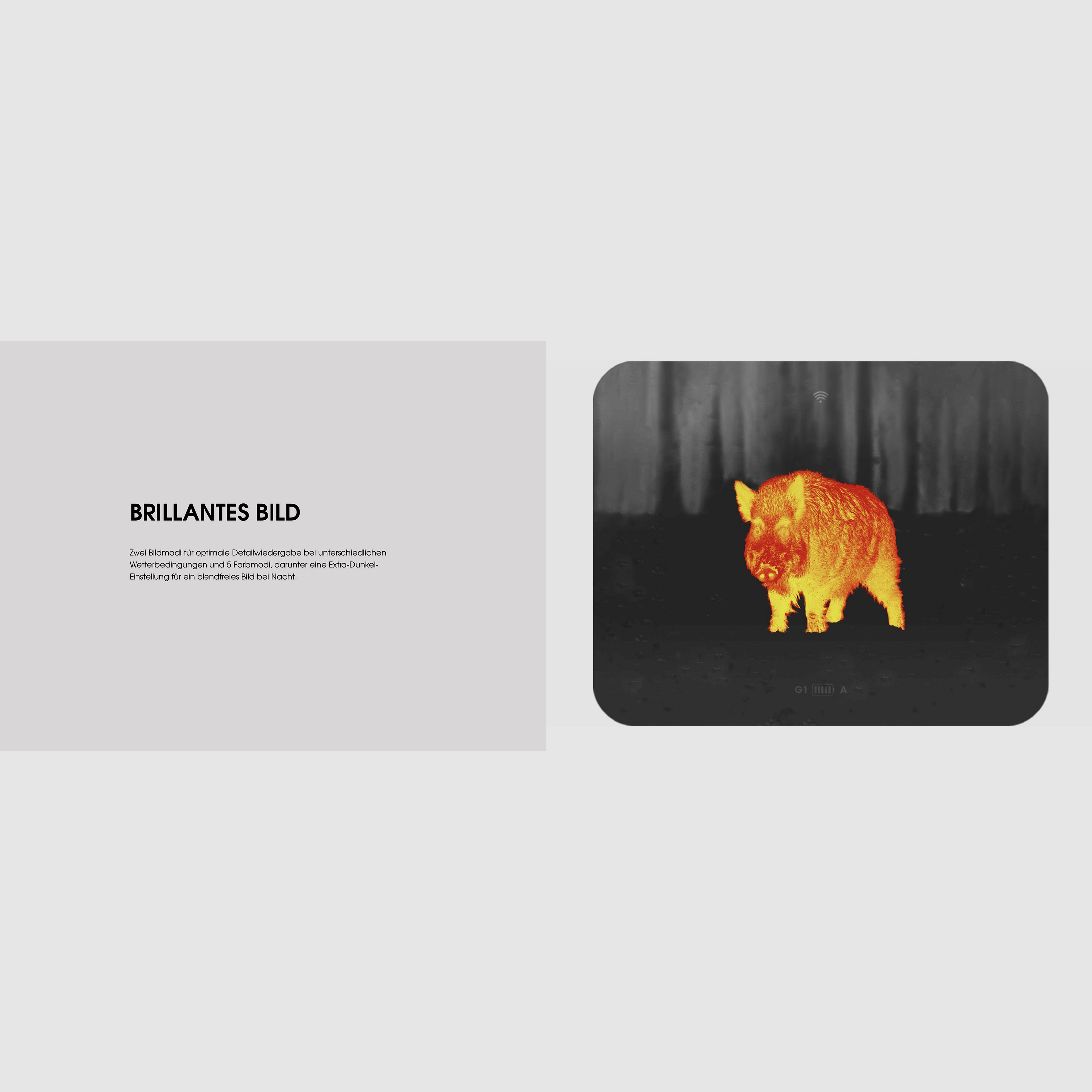 Liemke 80111556 LUCHS-1 dispositivo di imaging termico 640x512 sensore 1750m di portata