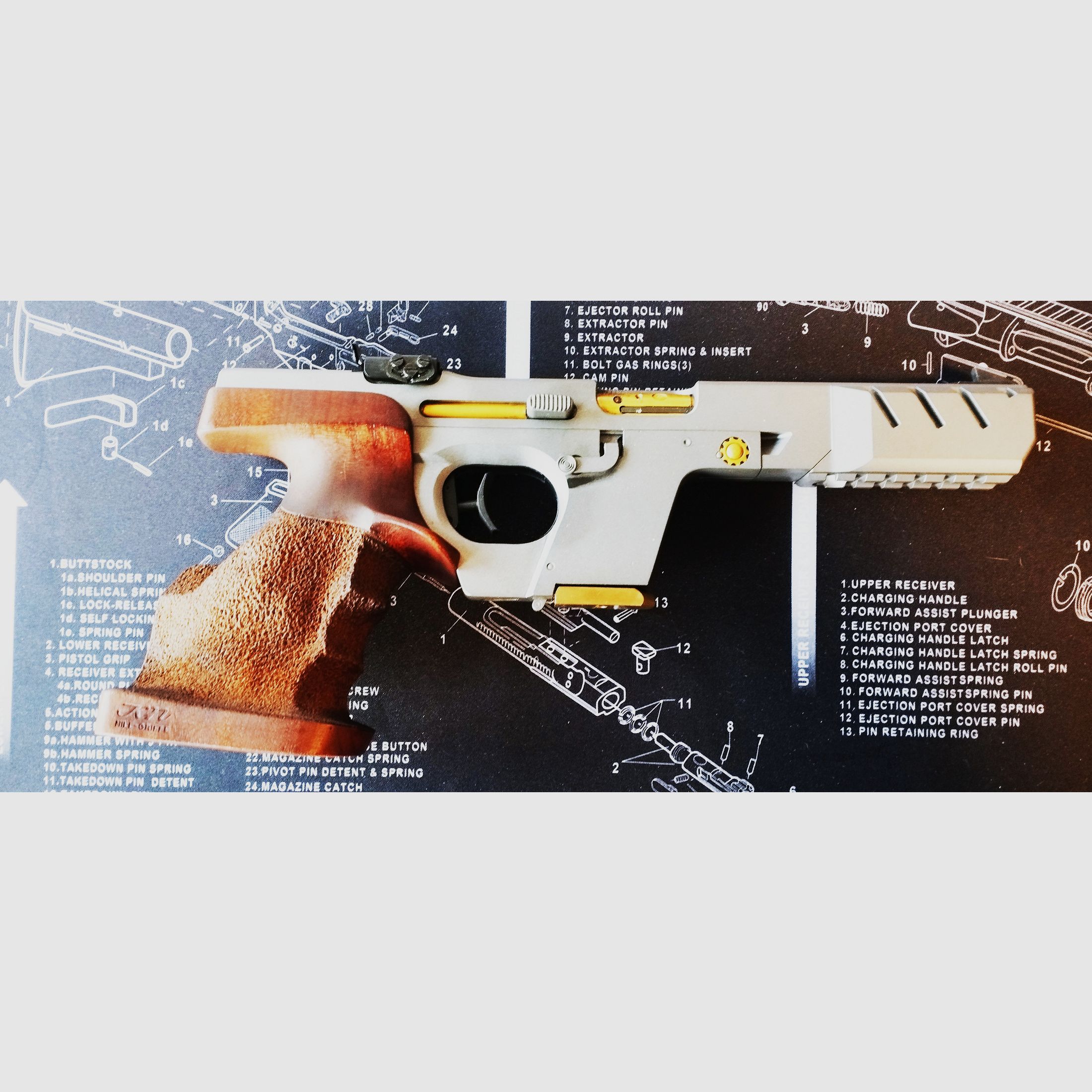 Walther GSP .22lr