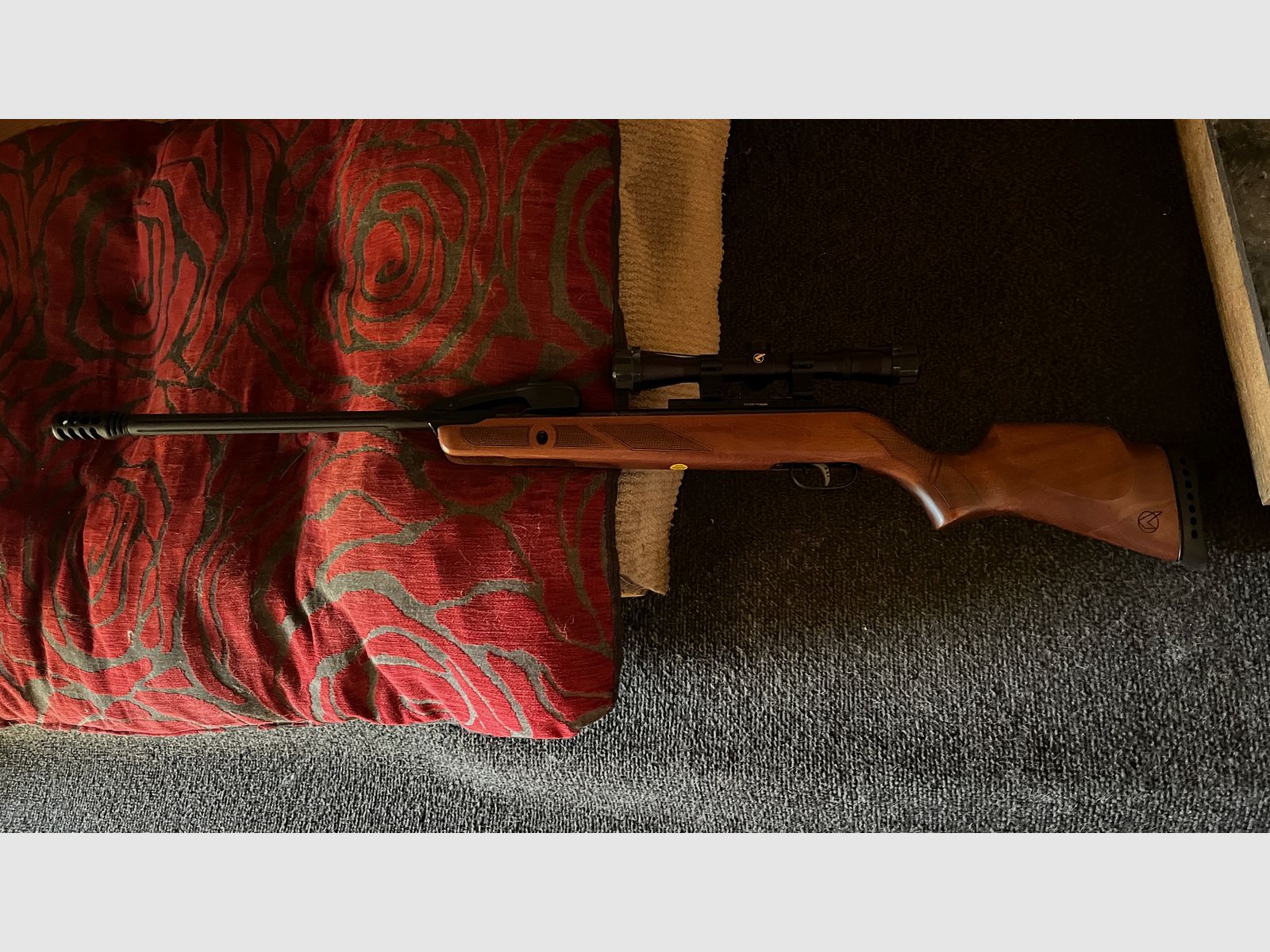 Diana LP8 und Gamo Luftgewehr