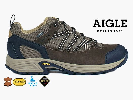 AIGLE Mooven GTX Herren