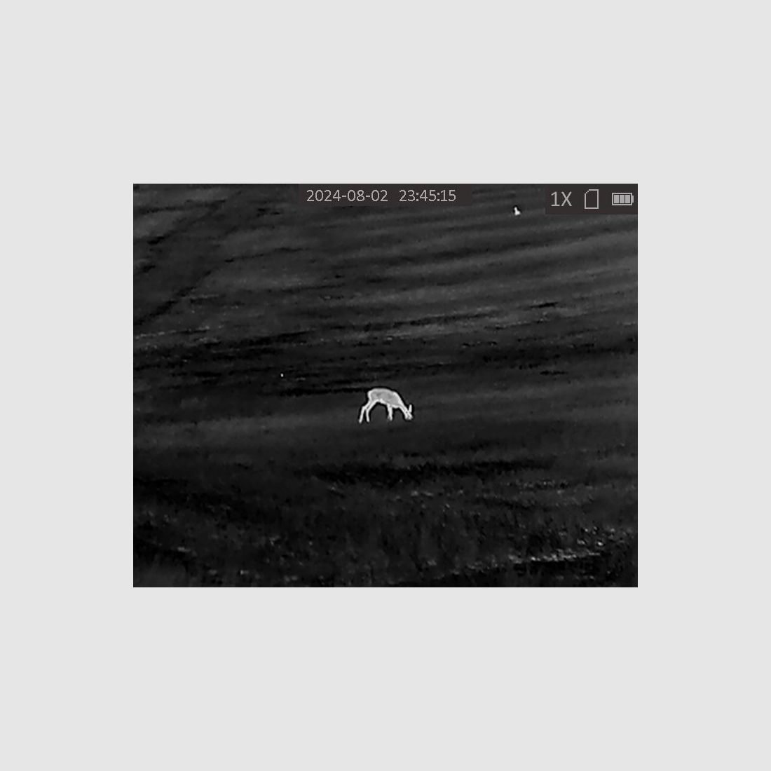 Thermal imaging camera HIKMICRO OWL OH35