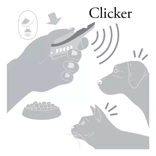 Hunter Clicker 2in1 con tracolla in plastica grigia, immagine 4 di 4