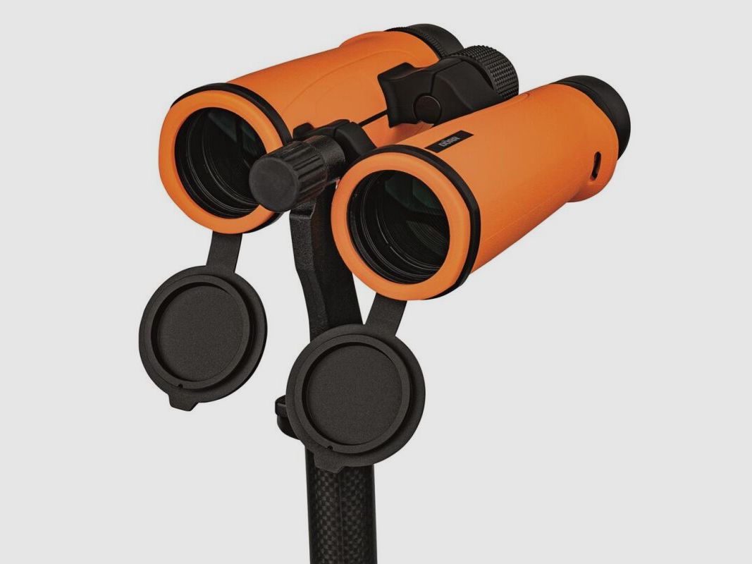 Dörr Dachkantfernglas Signal XP 10x42 Orange