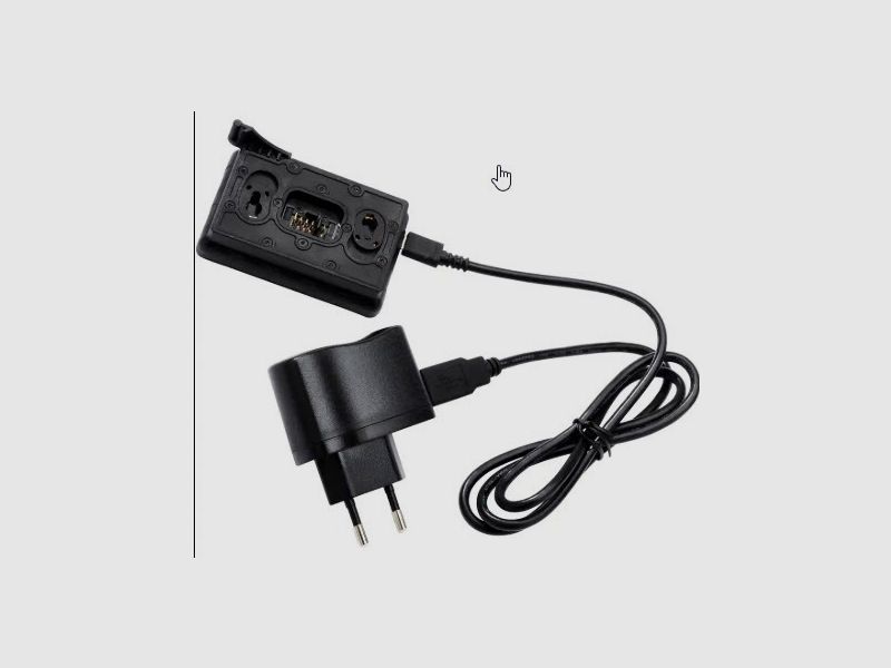 Pulsar battery charger for battery pack IPS